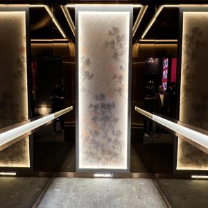 کابین آسانسور طرح میکرو